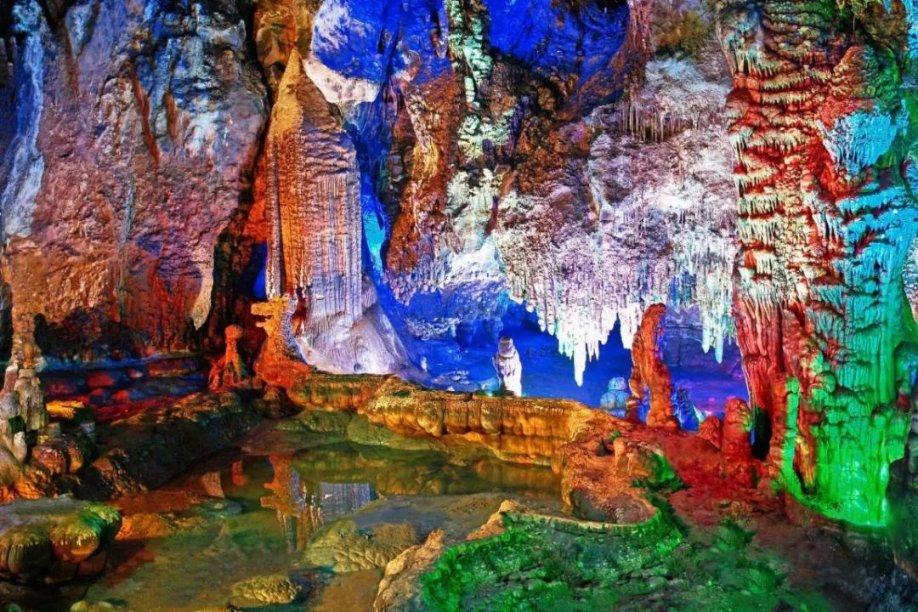 探寻知识星球 x腿能矫正吗,拓展你的知识领域
